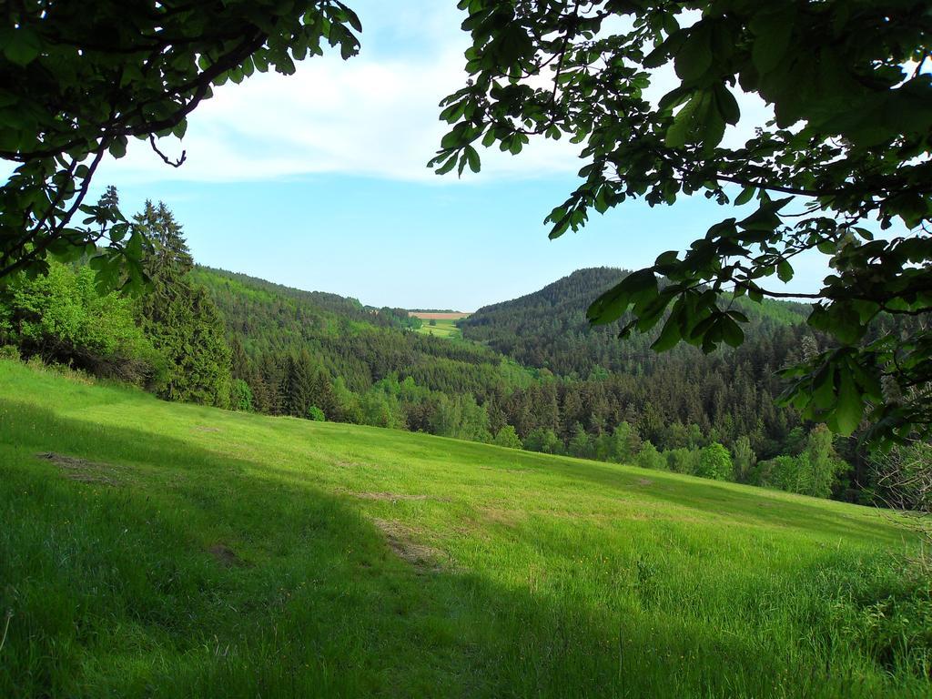 Ferienwohnung Wildenreuth Weidenberg Екстер'єр фото