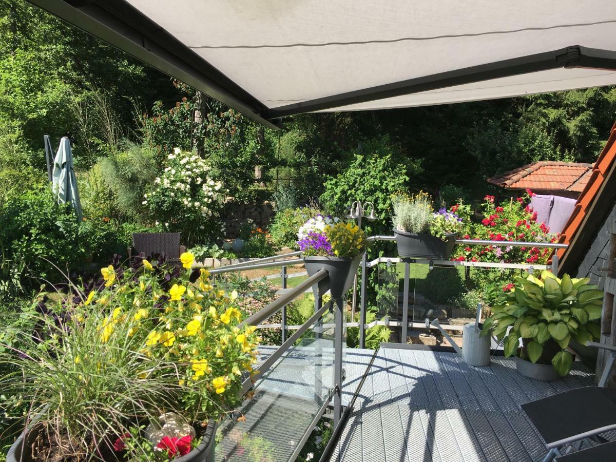 Ferienwohnung Wildenreuth Weidenberg Екстер'єр фото